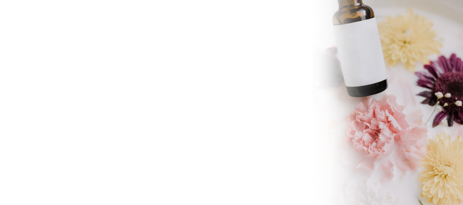 Beauty | Calia Australia Pty Ltd