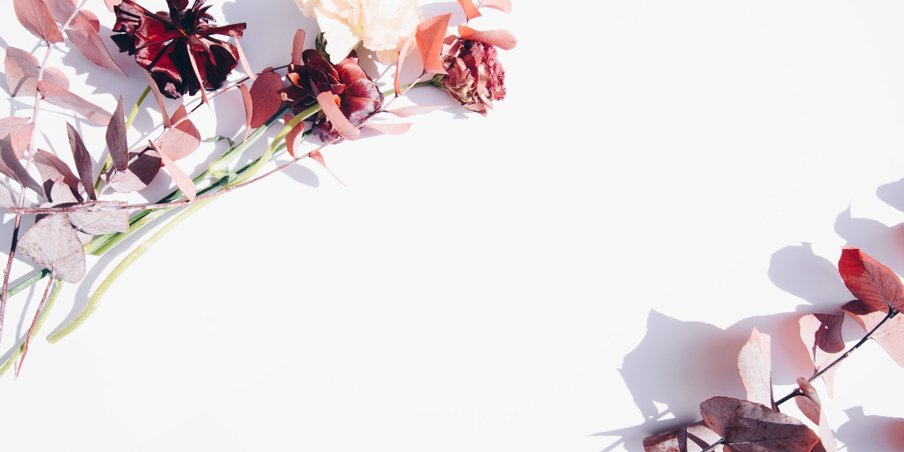Bestseller | Calia