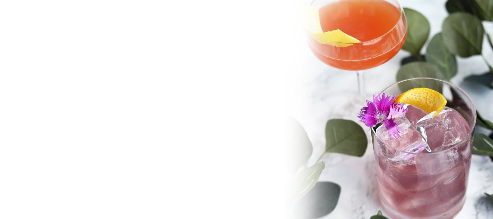 Drinks | Calia Australia Pty Ltd